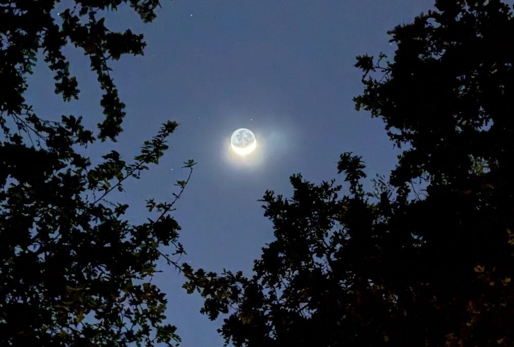 Grace & The Beautiful Sciences