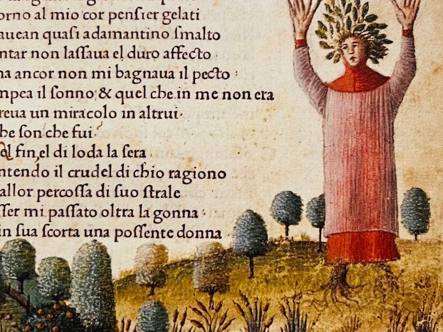 Petrarch: an introduction . . .
