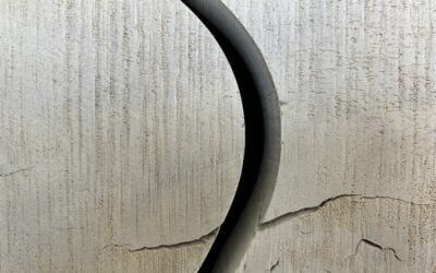 “100 Years Rudolf Steiner” Conference Report & Presentation Recordings