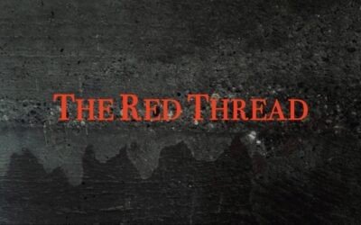 Rudolf Steiner’s Reading of the Karmic Biography of Novalis:  Its Significance for our 21st Century