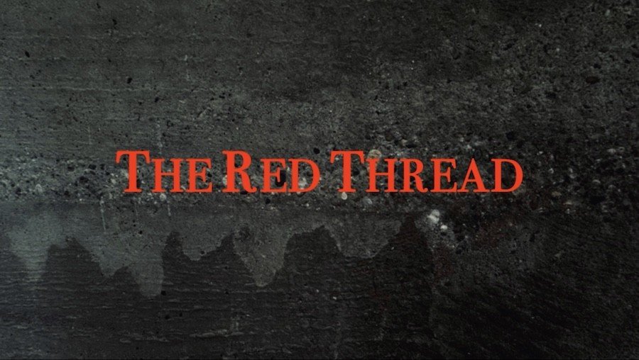 Rudolf Steiner’s Reading of the Karmic Biography of Novalis:  Its Significance for our 21st Century