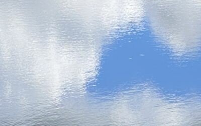 “After Images” Reflections on the Harvard University “100 Years Rudolf Steiner” Conference